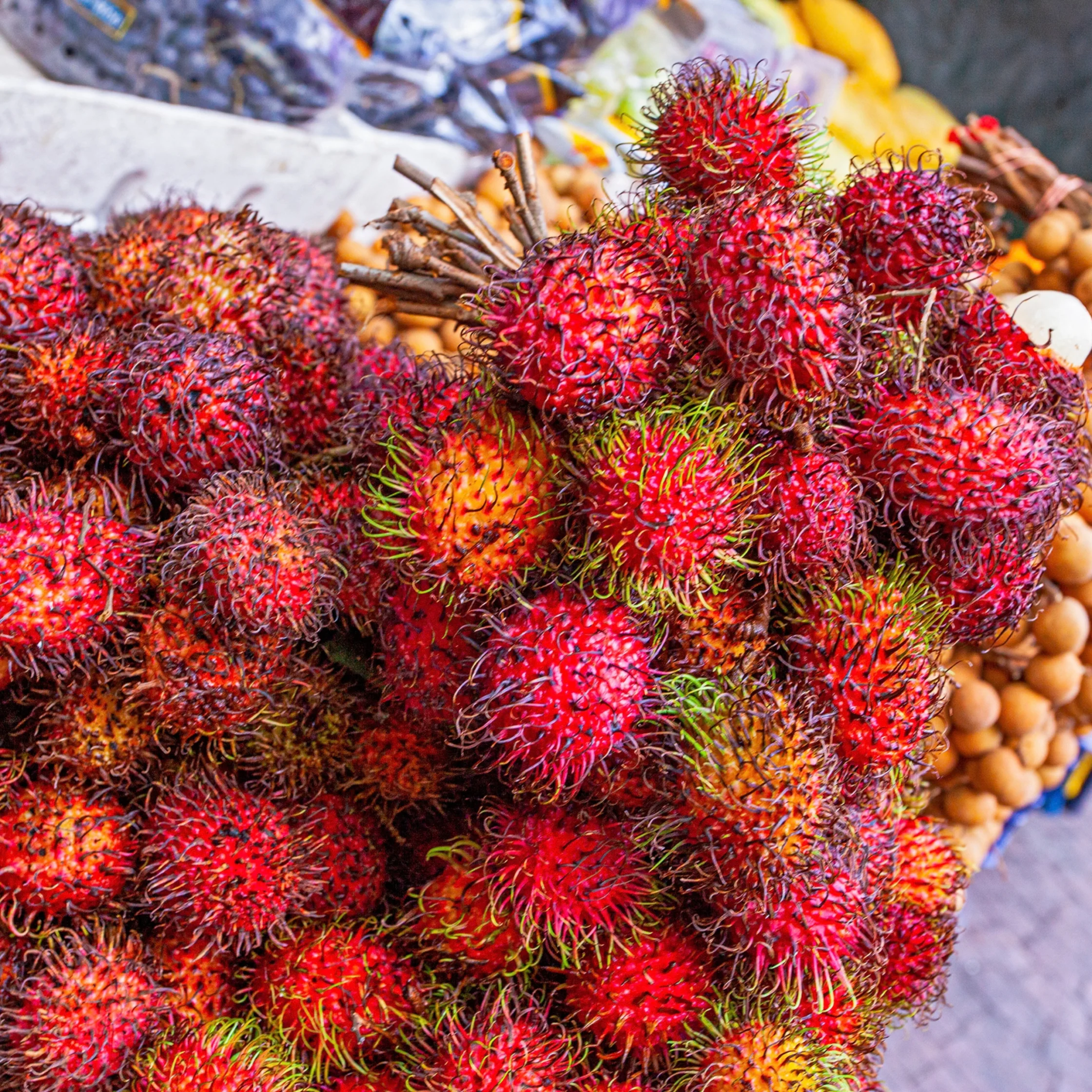 Rambutan