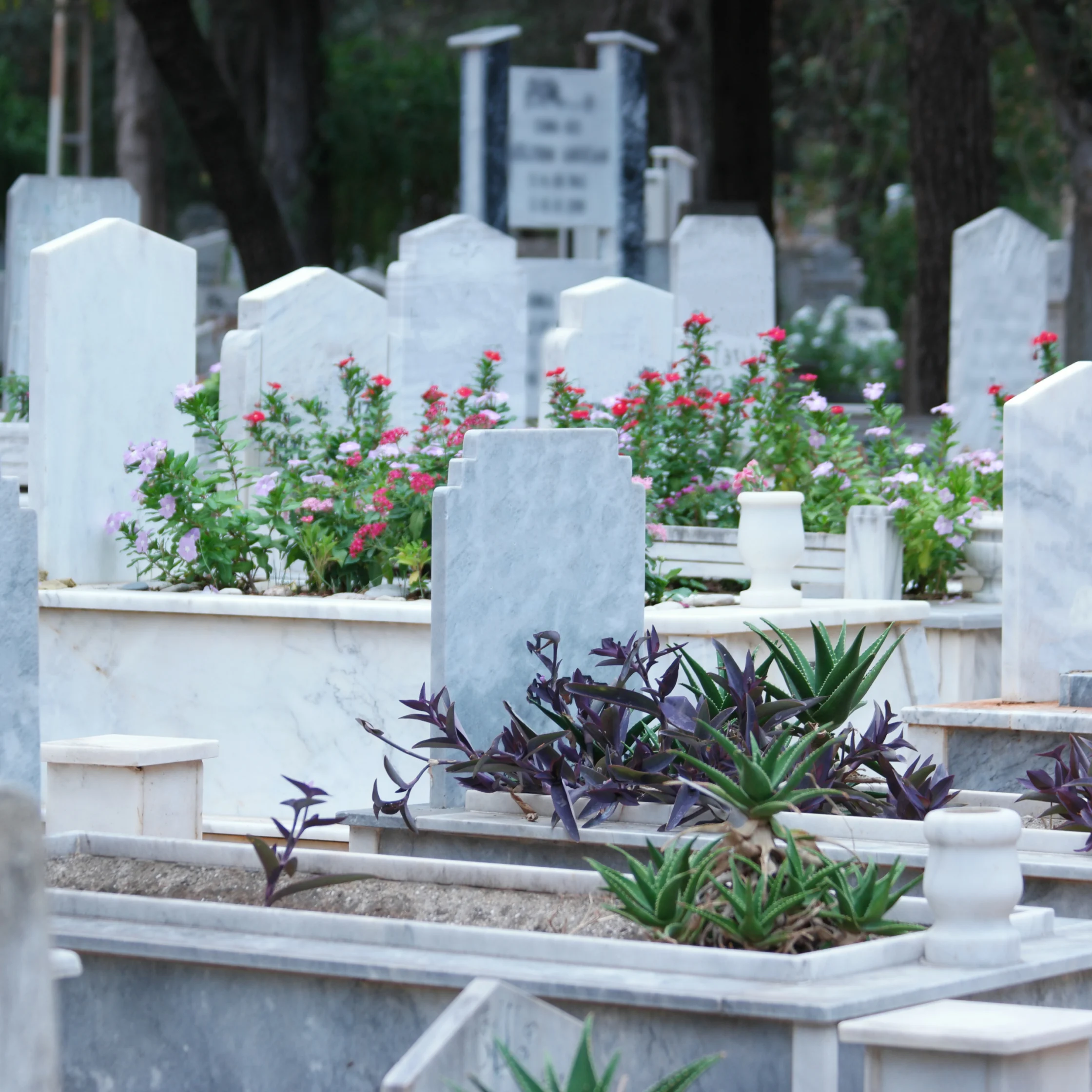 random cemetery from enavato