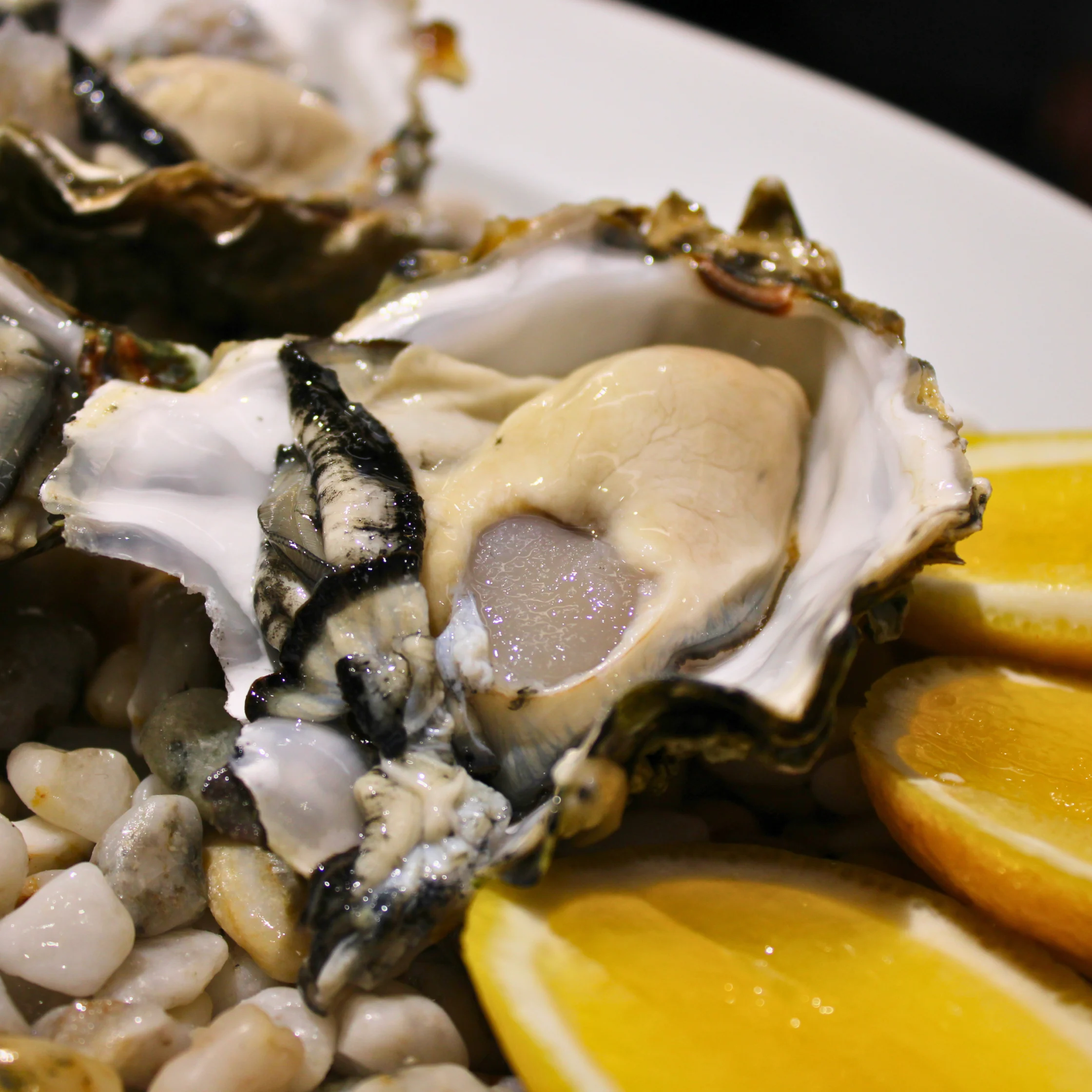 Close-up of oyster meat on the shell with a lemon wedge in the background on a plate.