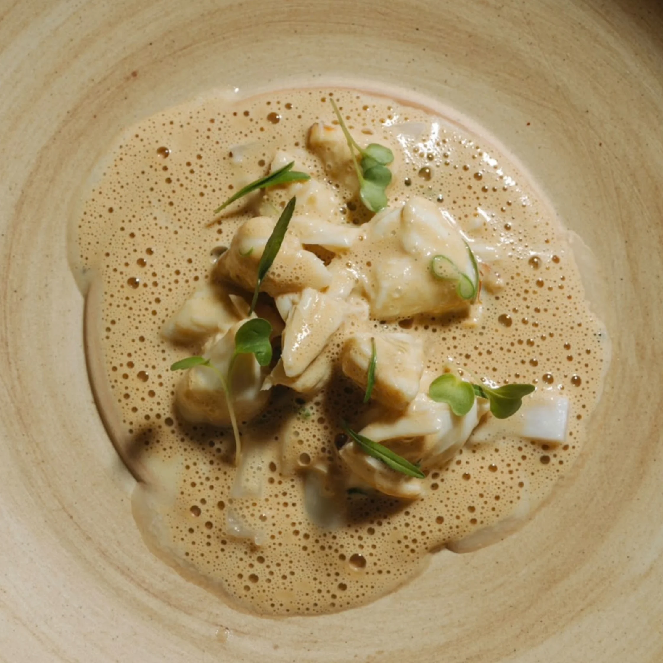 A refined seafood dish of tender white fish in foamy golden cream sauce, topped with fresh green herbs and microgreens in a rustic bowl.