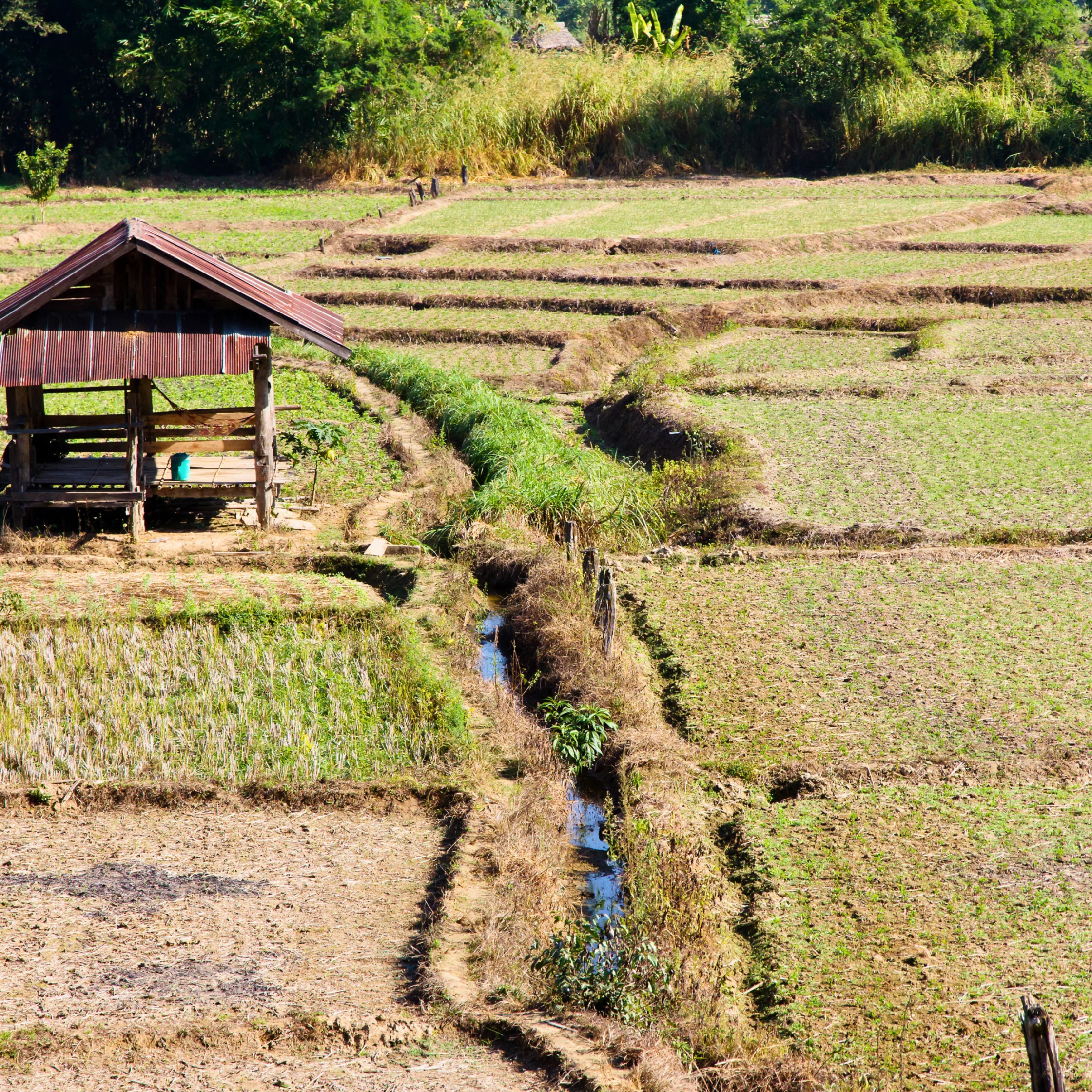 farmlands in the countryside