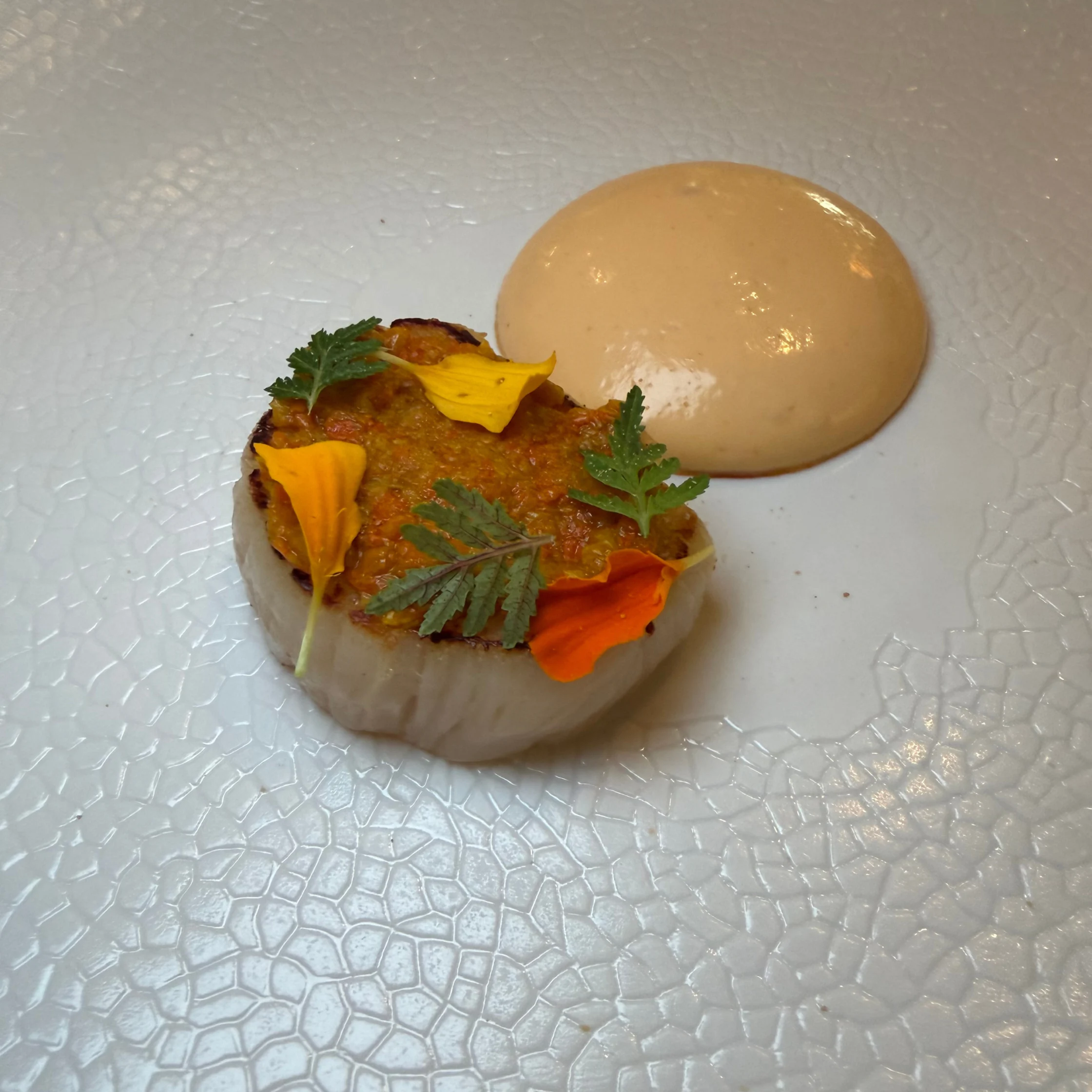A seared scallop topped with golden-brown crust, fresh herbs, and yellow and orange petals sits beside a smooth tan sauce on a textured white plate.