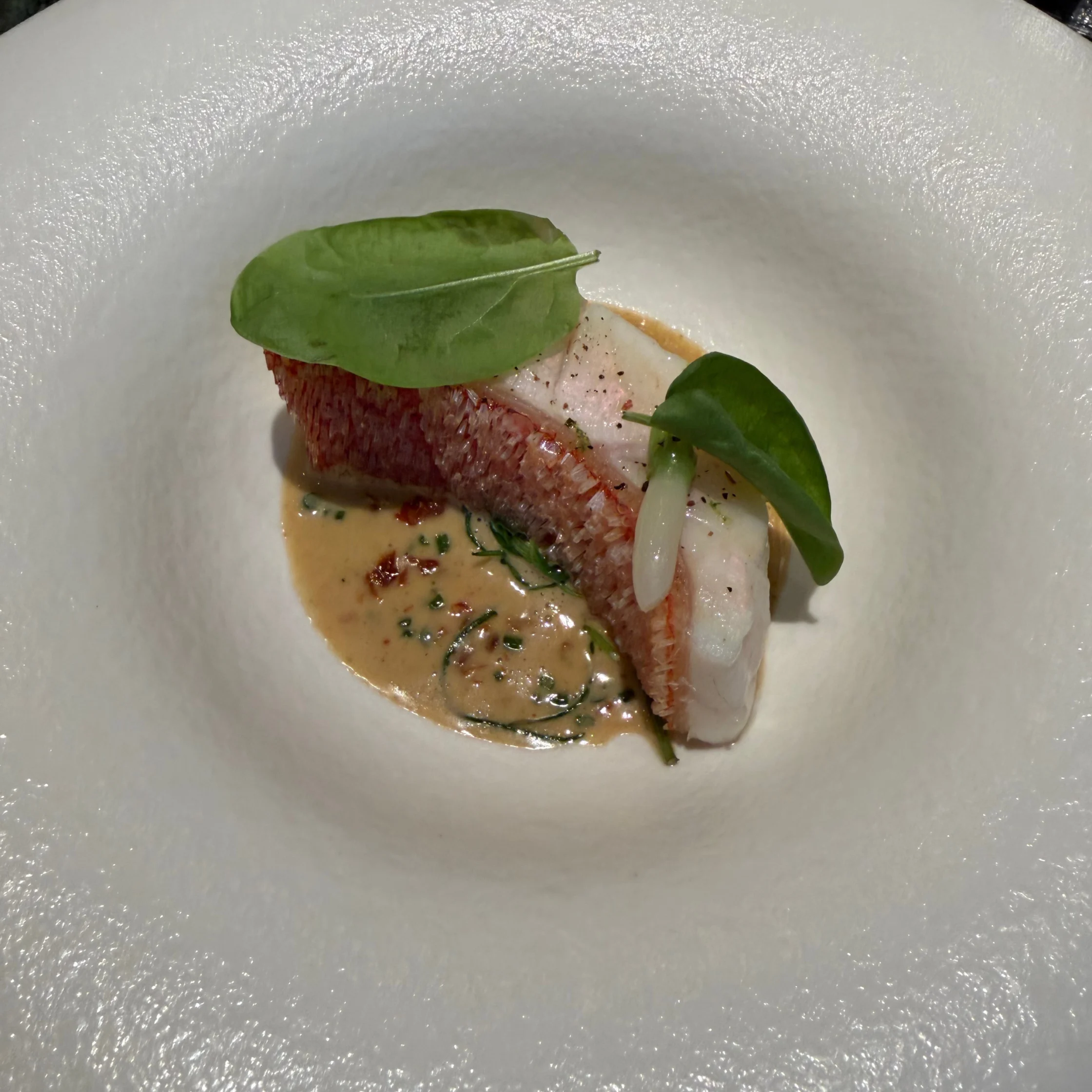 A refined seafood dish features a seared pink fish fillet in creamy herb sauce, topped with fresh green leaves on a broad white plate; elegant, calm presentation.