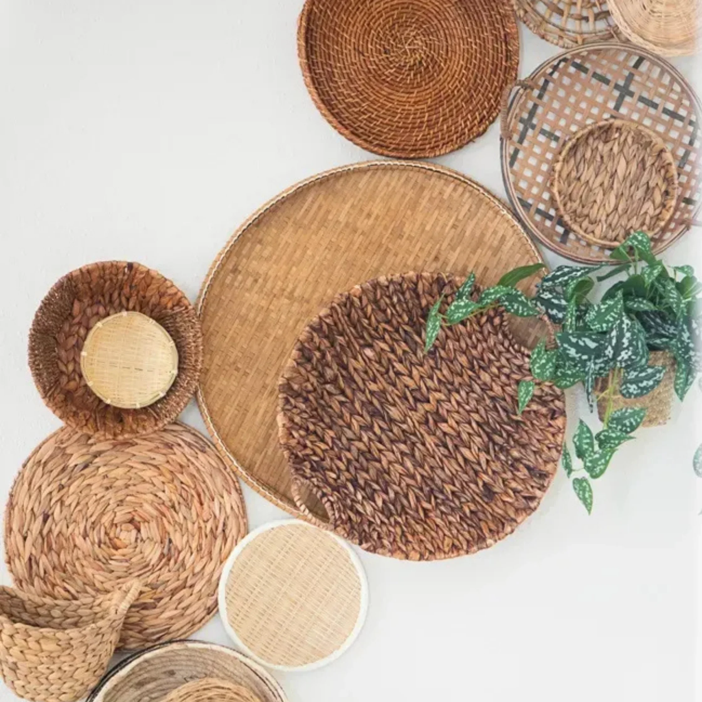 Overhead view of woven baskets and round rattan placemats in natural brown tones, arranged on a white surface beside a leafy green plant; calm, rustic style.