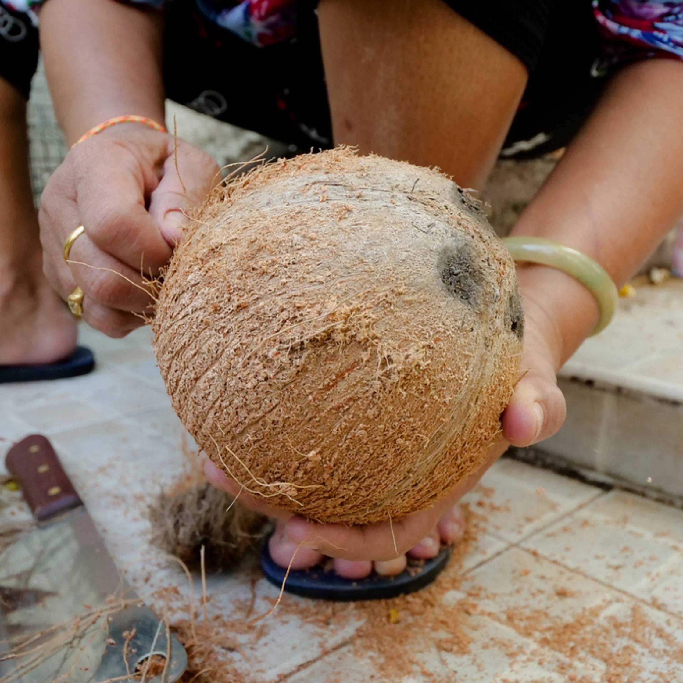 Hands carefully hold a freshly husked coconut over a work surface, with loose fibers scattered nearby; the close-up conveys hands-on, traditional food preparation.