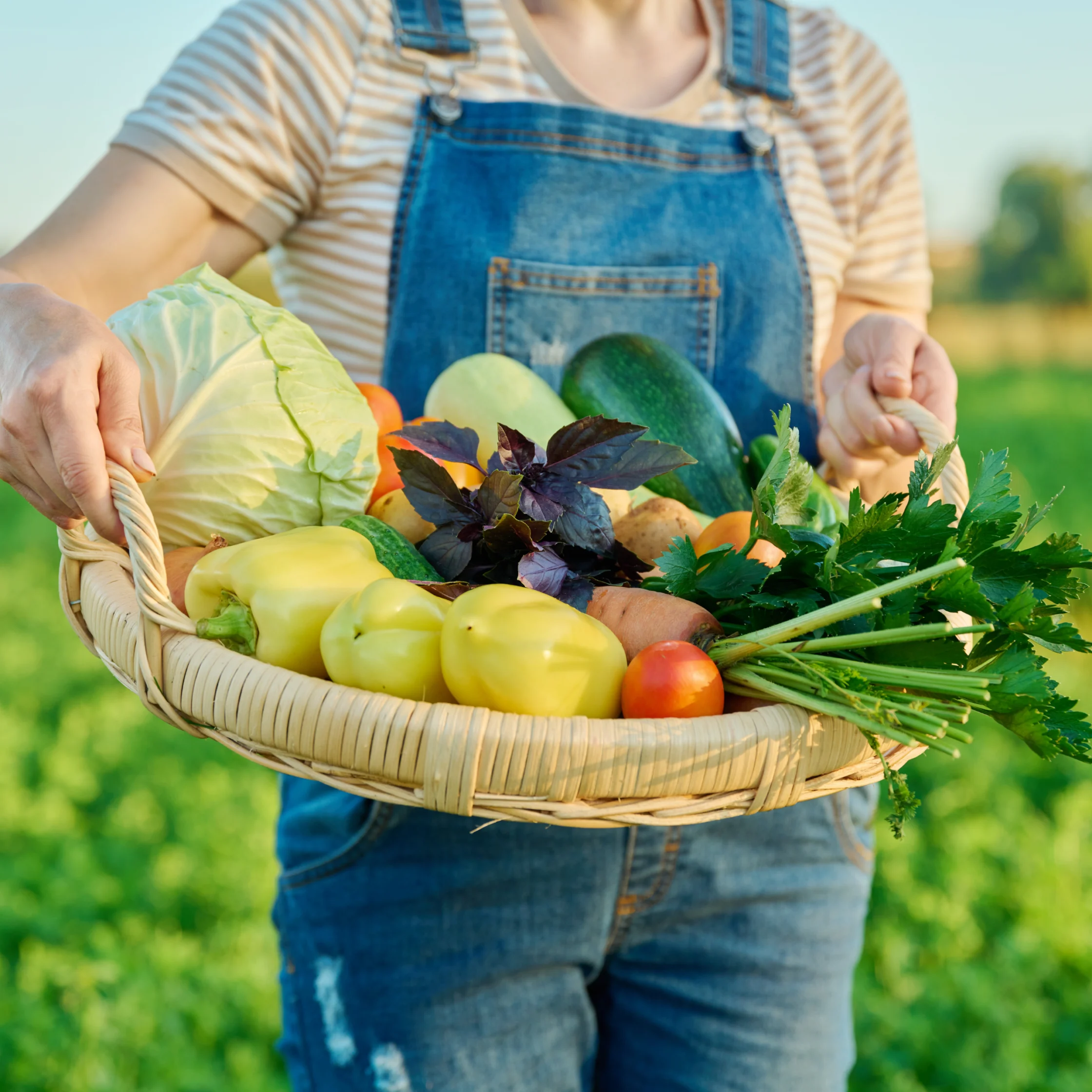 A gardener in denim overalls holds a wicker basket overflowing with fresh cabbage, peppers, tomatoes, herbs, and greens in a sunlit garden.