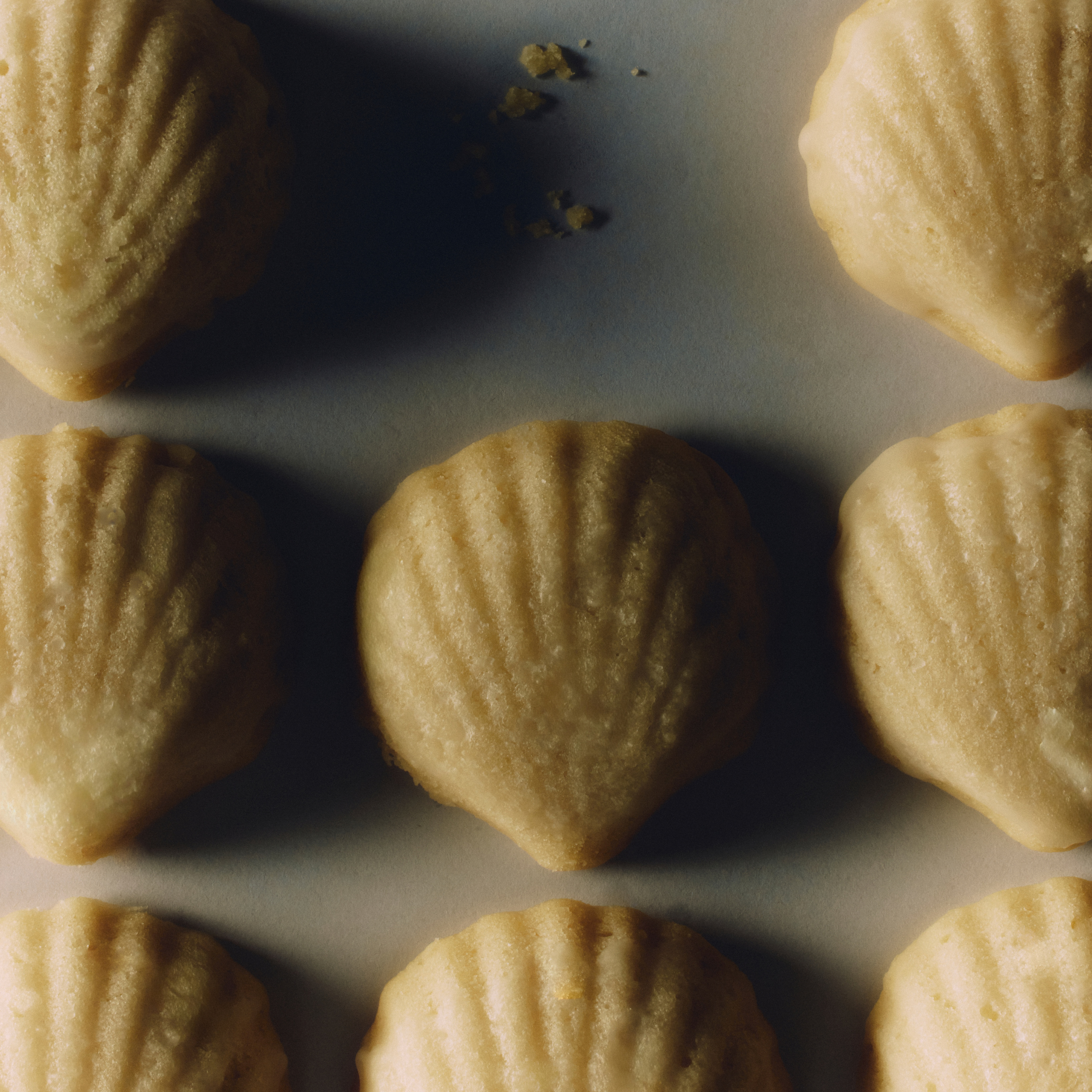 Five golden, shell-shaped madeleine cookies sit in rows on a dark baking sheet, with crumbs scattered above; warm light highlights their ridges and crisp edges.