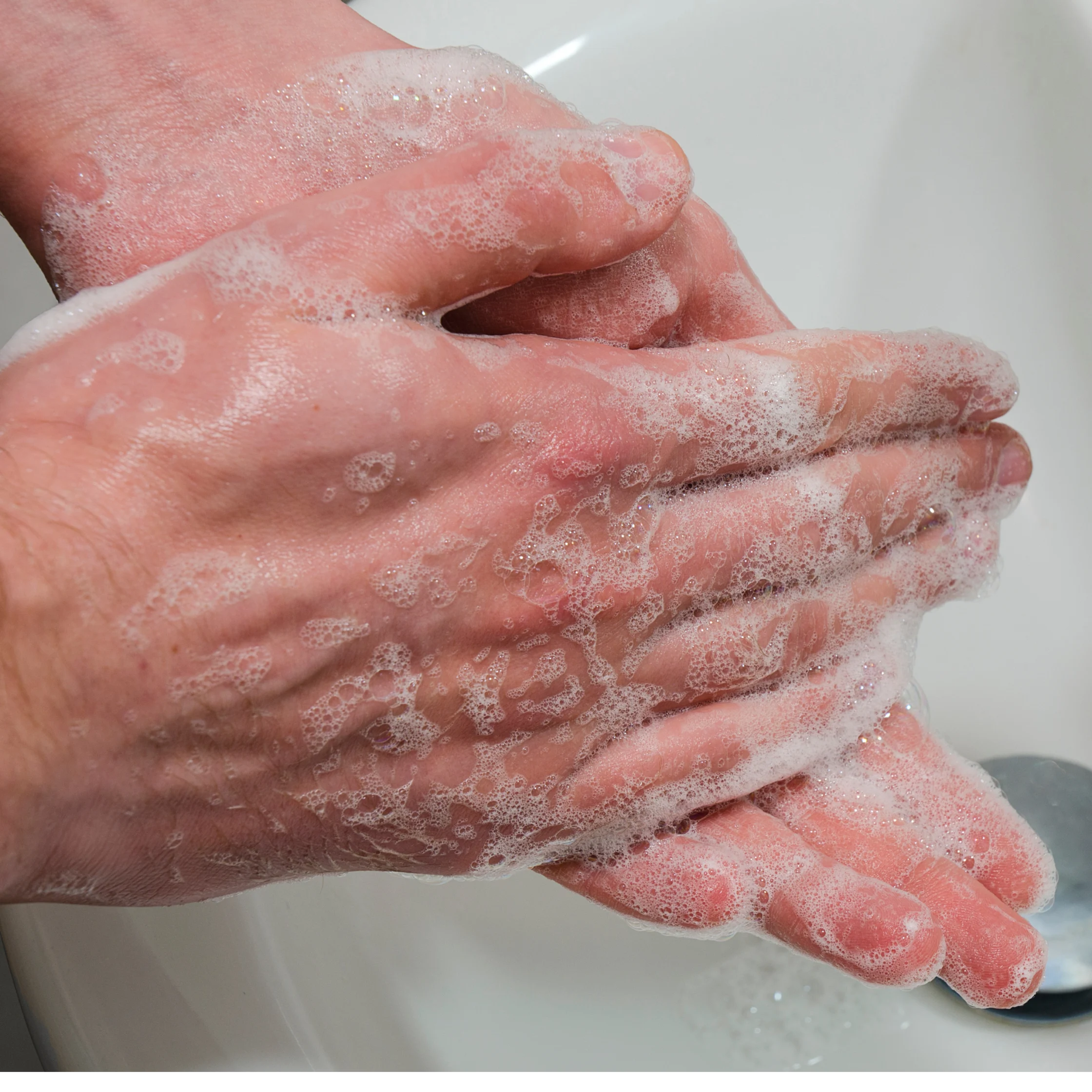 Close-up of hands rubbing together under foamy soap and water in a sink, showing thorough handwashing; clean, hygienic, practical tone.